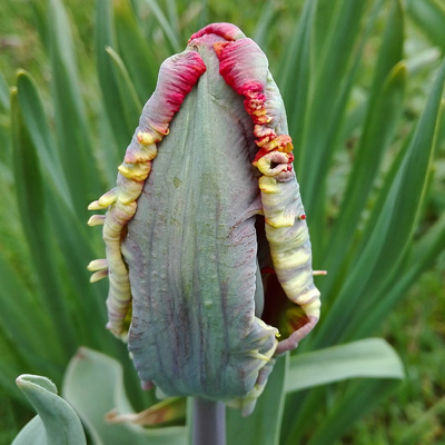 IMG_20180417_143135_xs