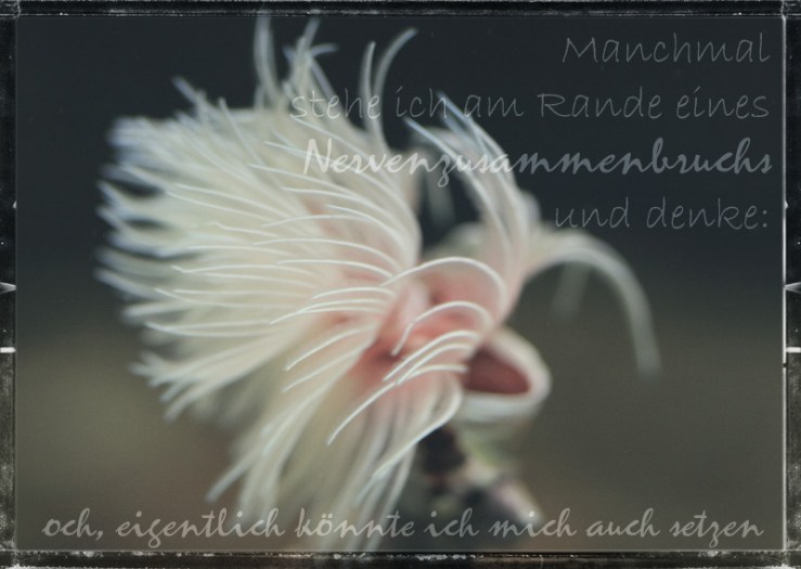 IMG_0180_bea_2018_xs